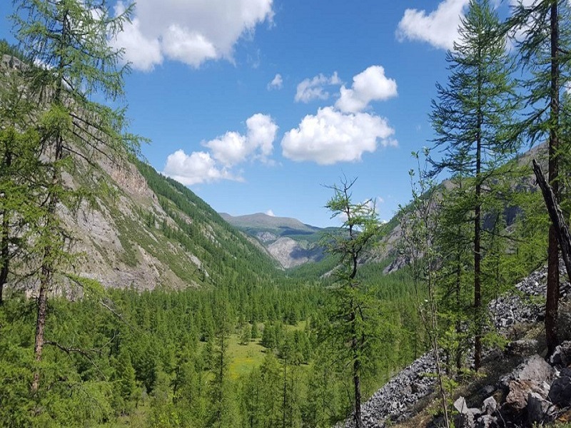 Гора Кучум в Саянах